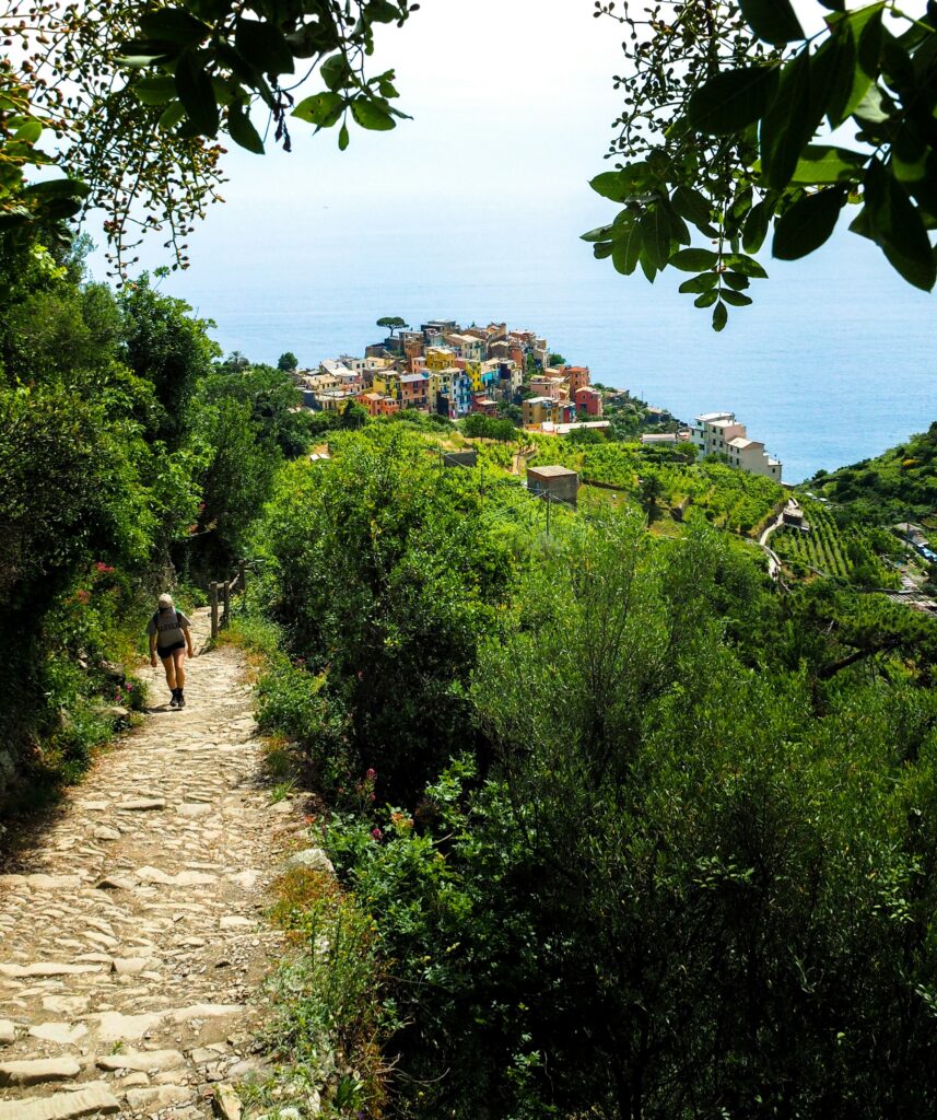 hiking cinque terre
